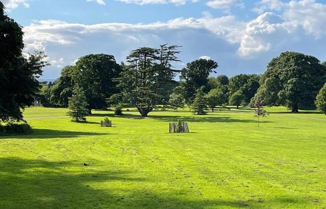 Crotlieve Barn Villa Rostrevor Exteriör bild
